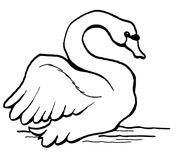 Mute Swan coloring #9, Download drawings