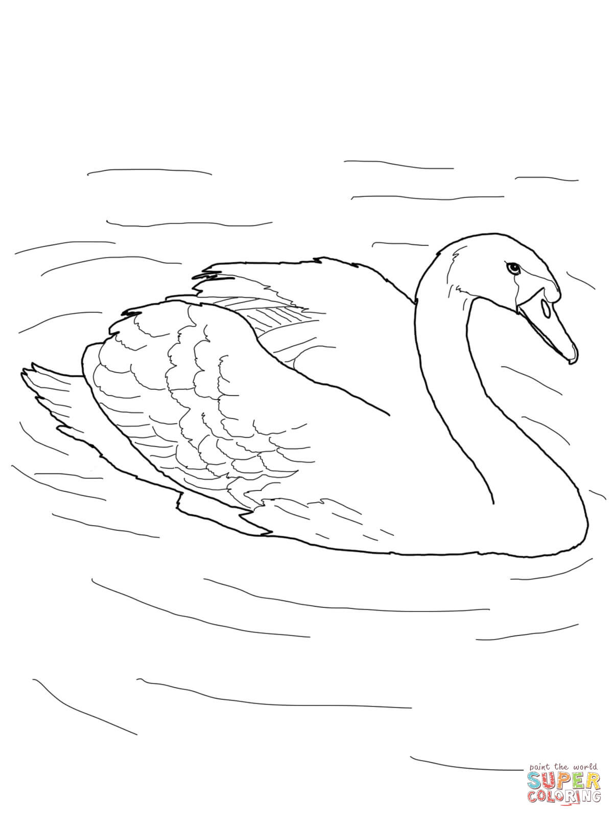 Whooper Swan coloring #4, Download drawings