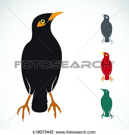 Myna clipart #4, Download drawings