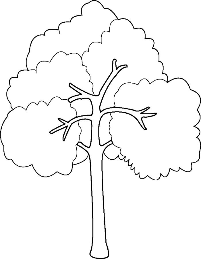 Naked Tree coloring #14, Download drawings
