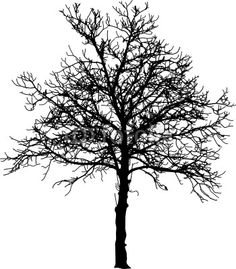Naked Tree svg #11, Download drawings