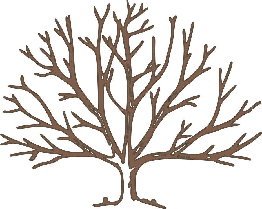Naked Tree svg #7, Download drawings
