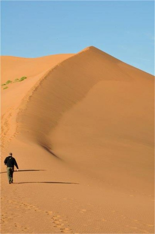 Namib Desert svg #1, Download drawings