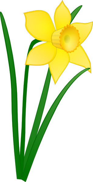 Narcissus clipart #3, Download drawings