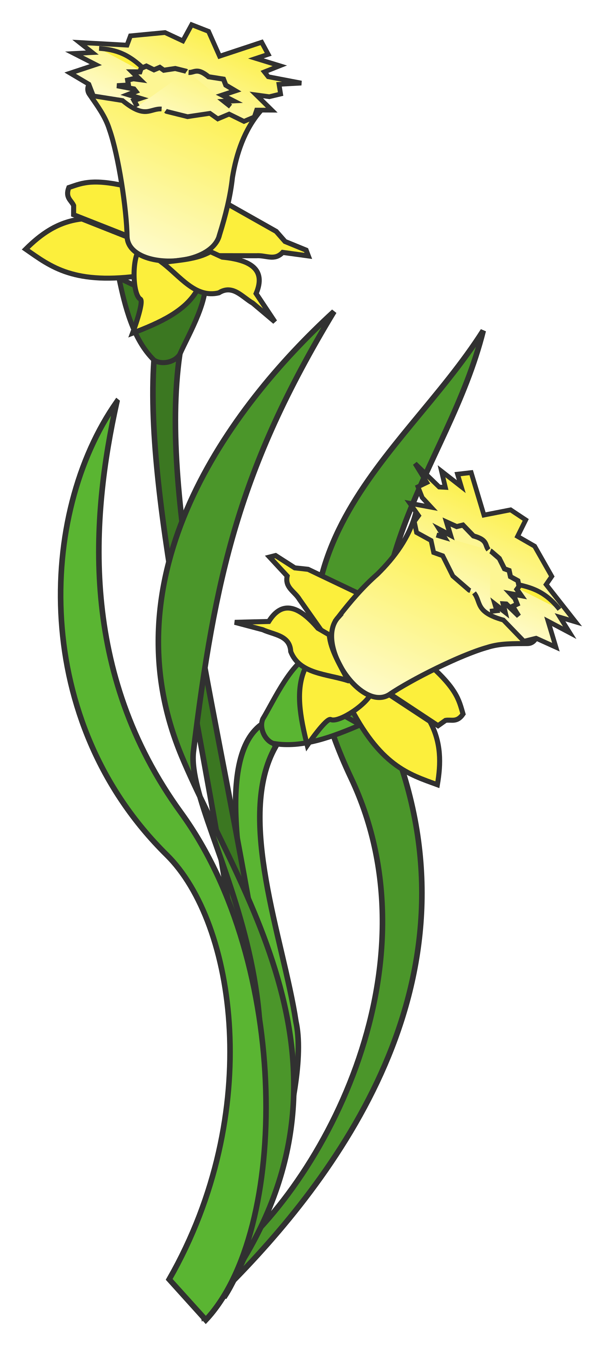Narcissus svg #18, Download drawings