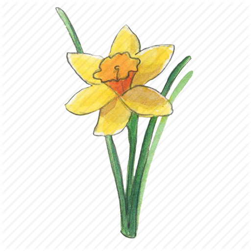 Narcissus svg #4, Download drawings
