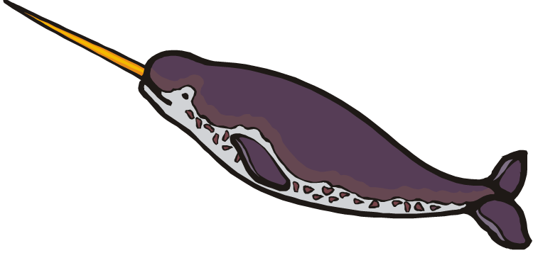Narwhal clipart #15, Download drawings