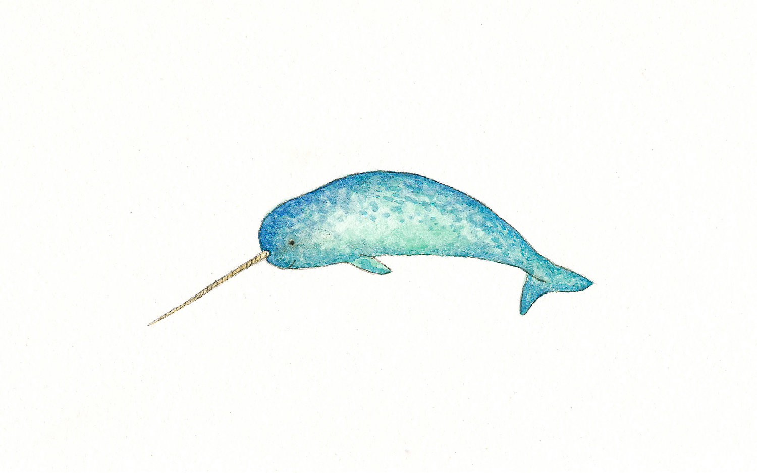 Narwhal clipart #6, Download drawings