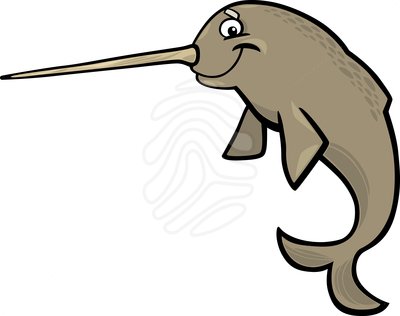 Narwhal clipart #18, Download drawings