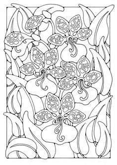 Nasturtium coloring #15, Download drawings