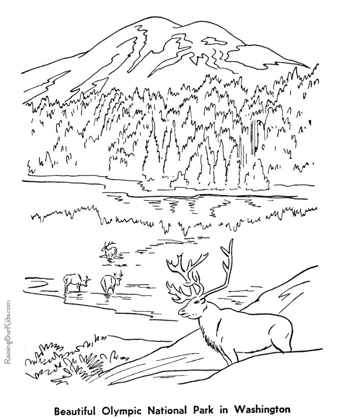 Olympic National Park coloring #20, Download drawings