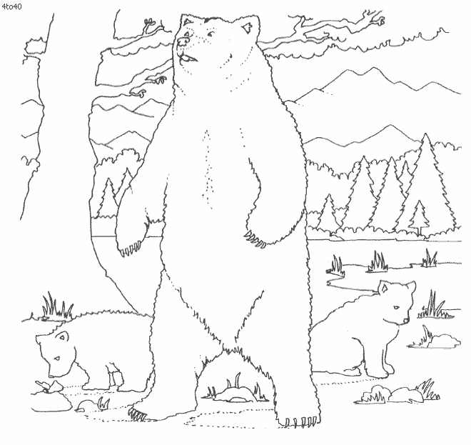 Yellowstone National Park coloring #4, Download drawings