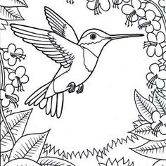 Nectar coloring #9, Download drawings