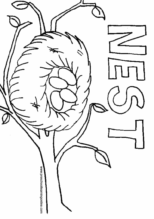 Nest coloring #19, Download drawings