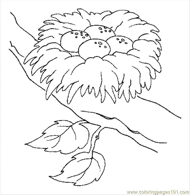 Nest coloring #12, Download drawings
