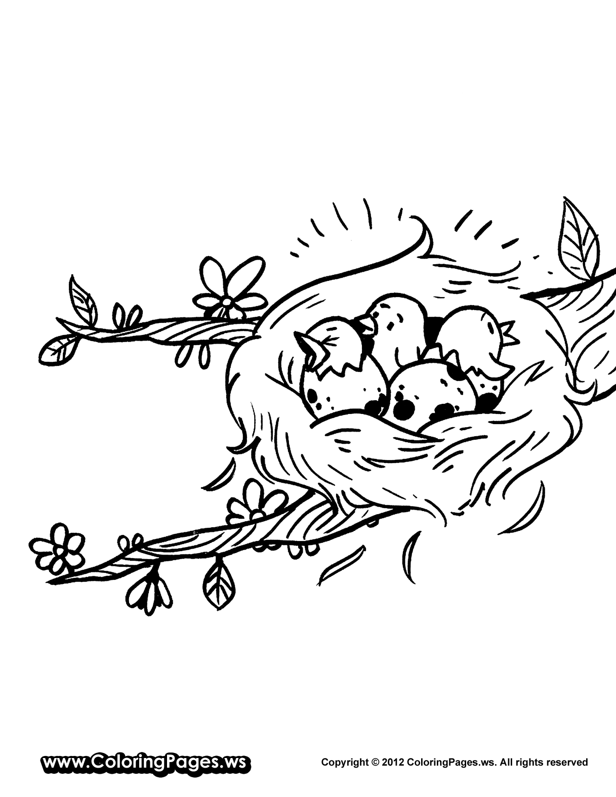 Nest coloring #7, Download drawings