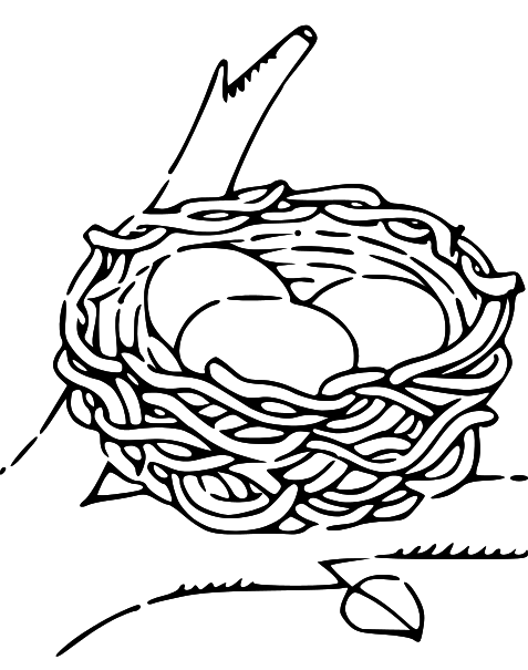 Nest clipart #1, Download drawings