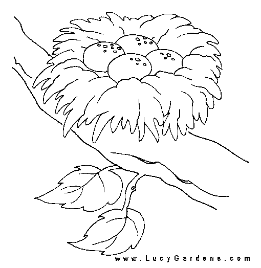Nest coloring #10, Download drawings