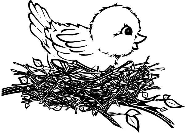 Nest White svg #9, Download drawings