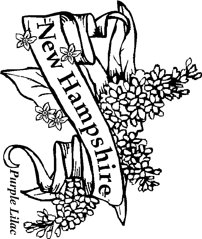 New Hampshire coloring #11, Download drawings