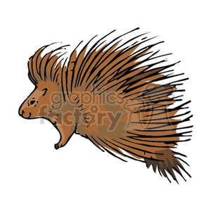 New World Porcupine clipart #20, Download drawings