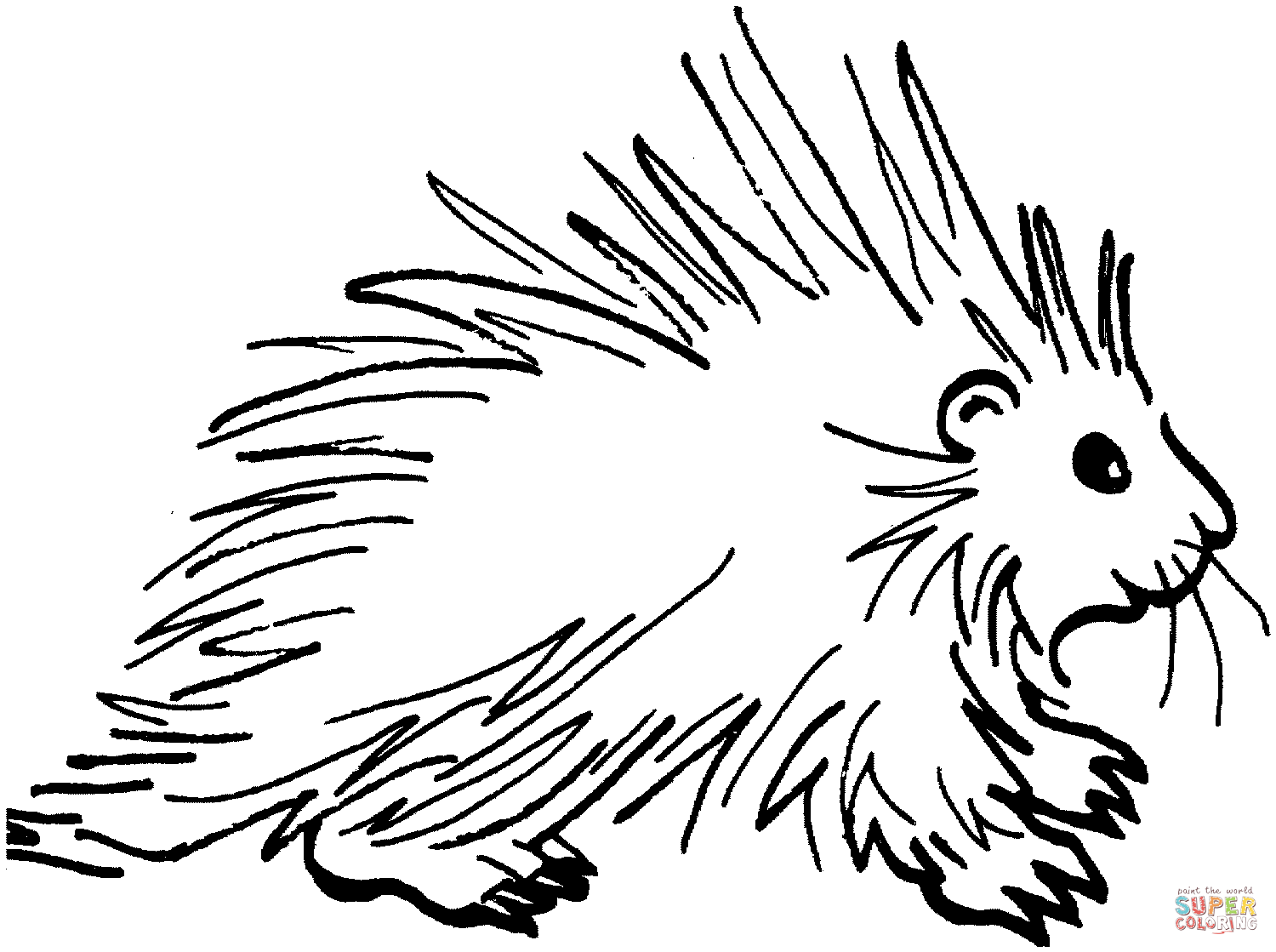 Porcupine coloring #18, Download drawings