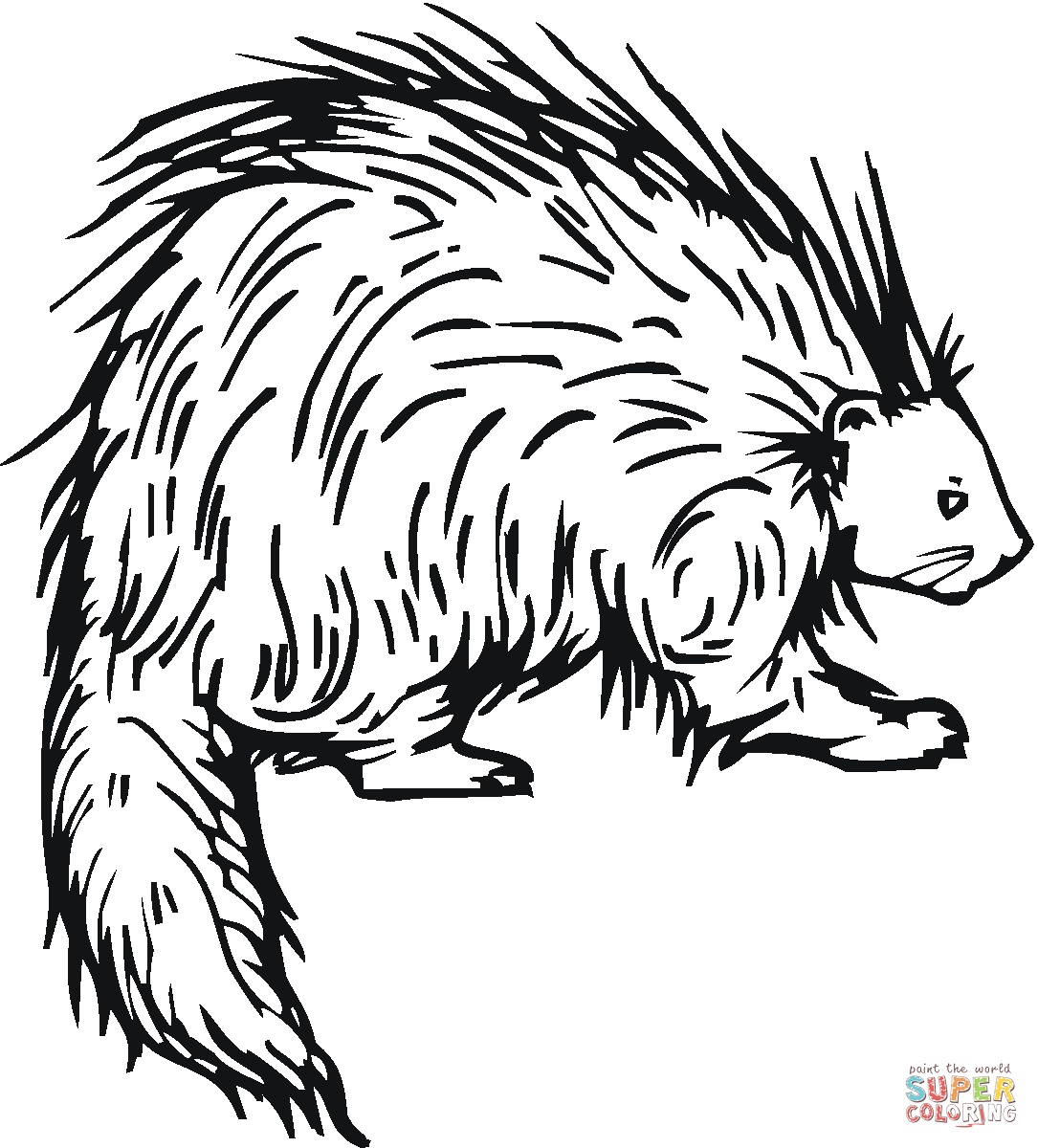 Porcupine coloring #17, Download drawings