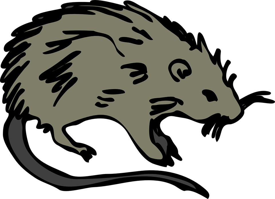 New World Porcupine svg #6, Download drawings