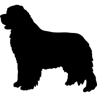 Newfoundland clipart #9, Download drawings