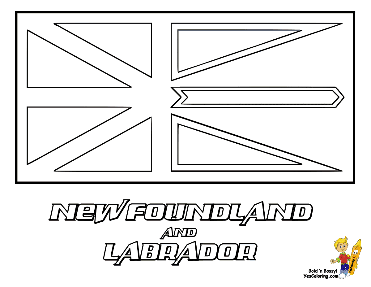 Newfoundland coloring #1, Download drawings