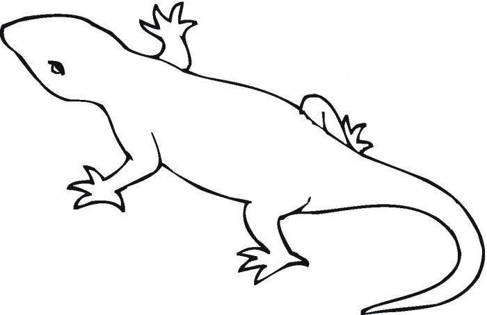 Newt clipart #1, Download drawings