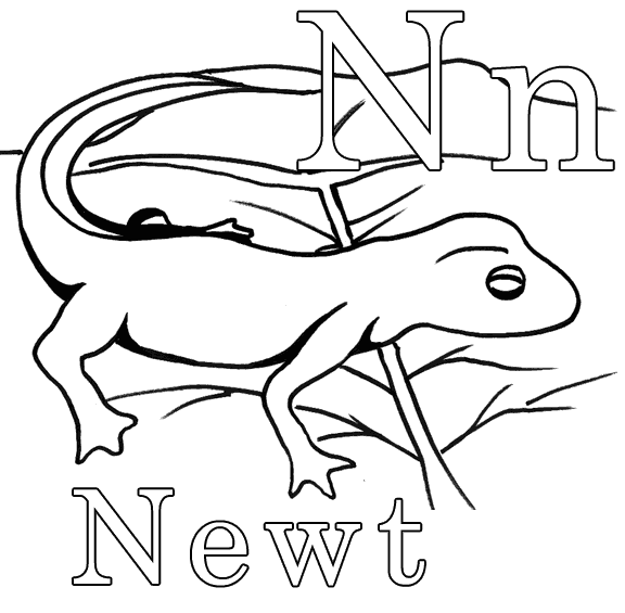 Newt coloring #14, Download drawings
