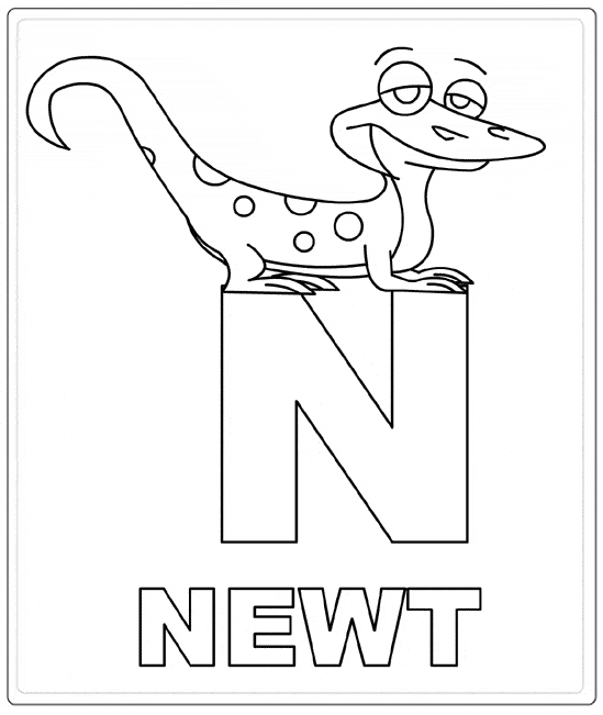 Newt coloring #13, Download drawings
