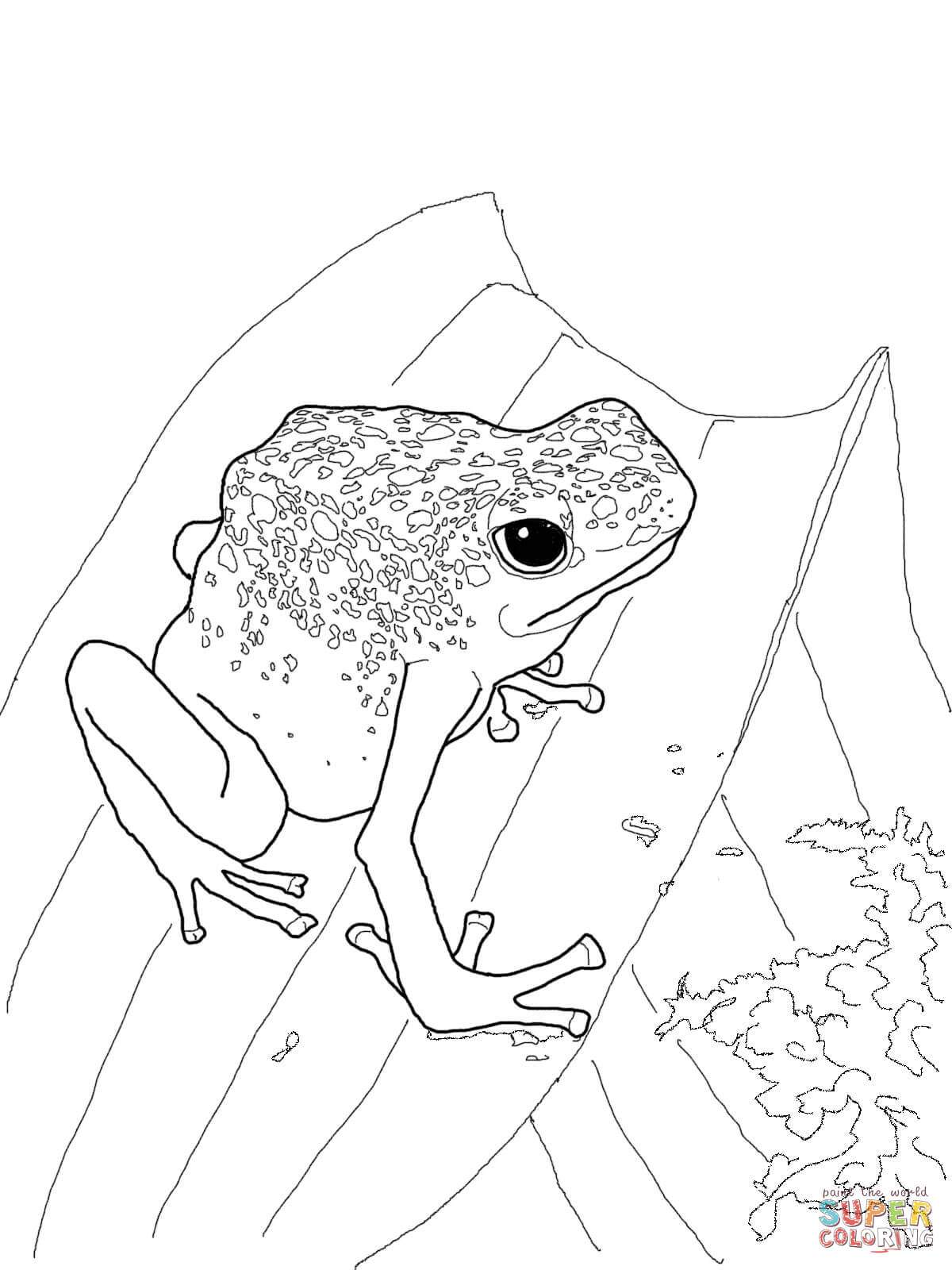 Blue Poison Dart Frog coloring #10, Download drawings