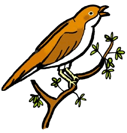 Nightingale clipart #20, Download drawings