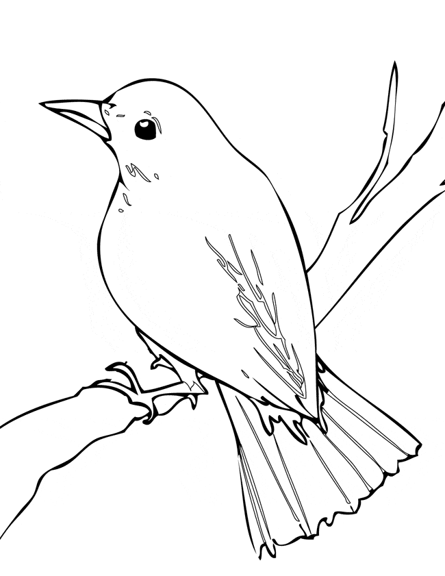 Nightingale coloring #14, Download drawings