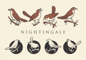 Nightingale svg #16, Download drawings