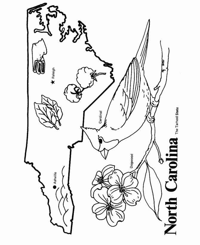 North Carolina coloring #19, Download drawings