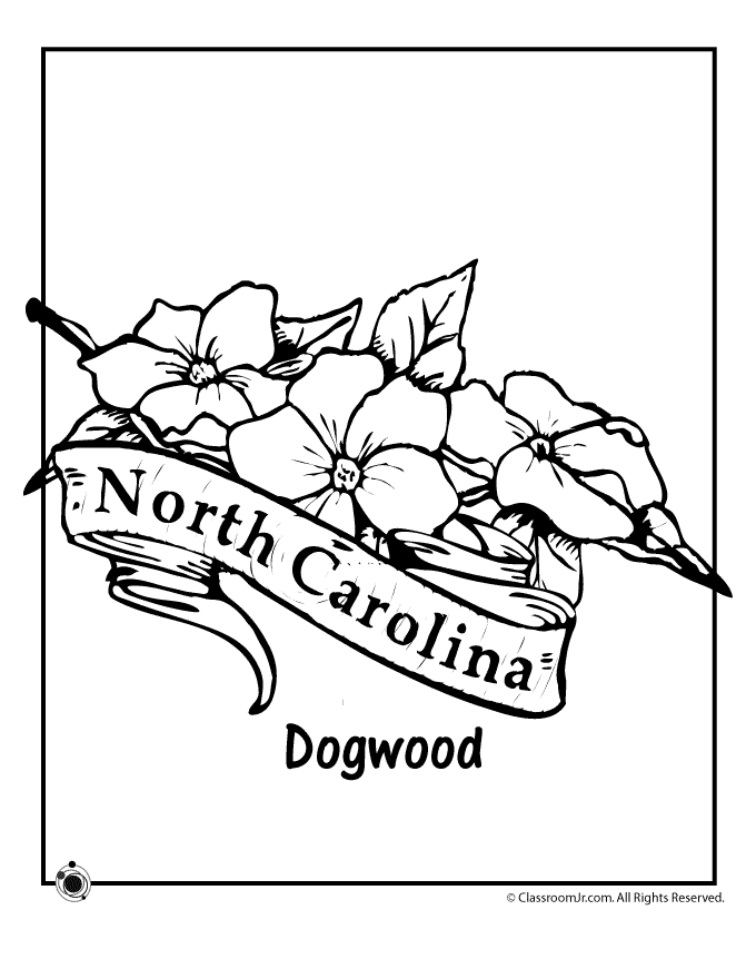 North Carolina coloring #18, Download drawings