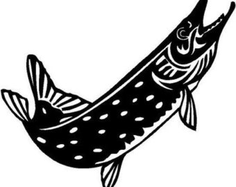 Northern Pike svg #18, Download drawings