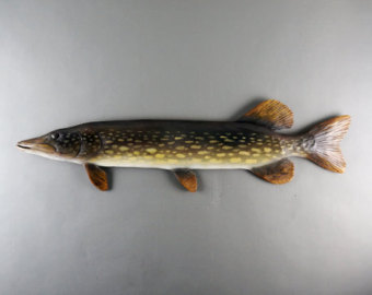 Northern Pike svg #3, Download drawings