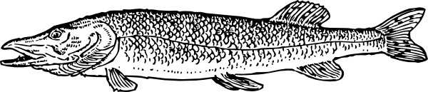 Northern Pike svg #8, Download drawings