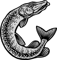 Northern Pike svg #14, Download drawings