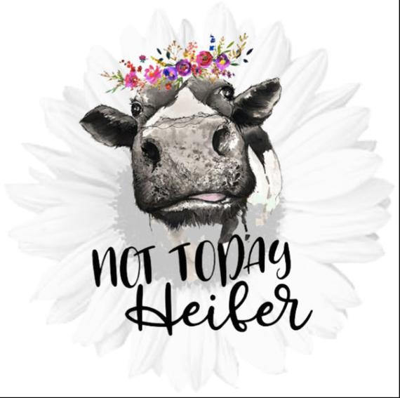 not today heifer svg #383, Download drawings