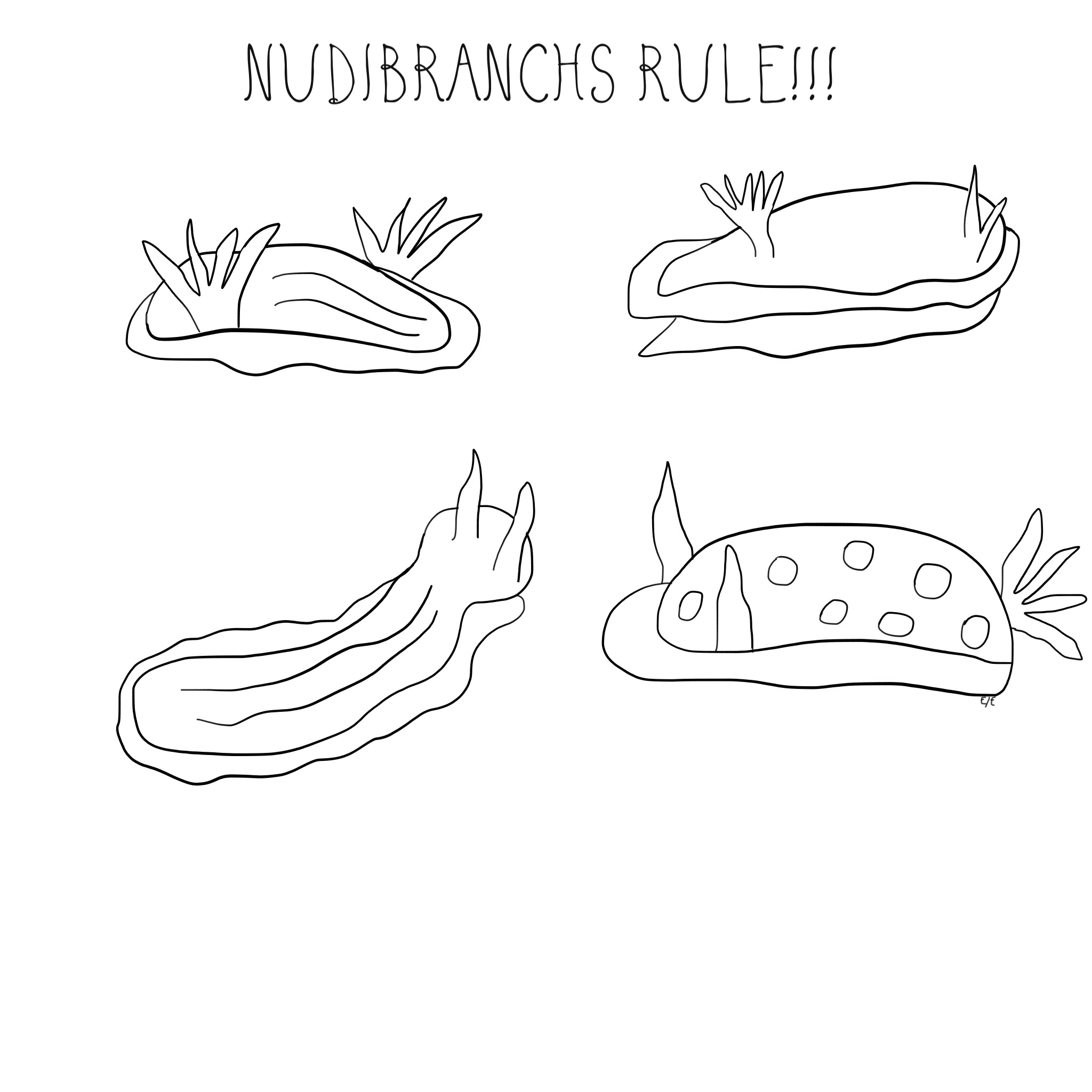 Nudibranch coloring #17, Download drawings
