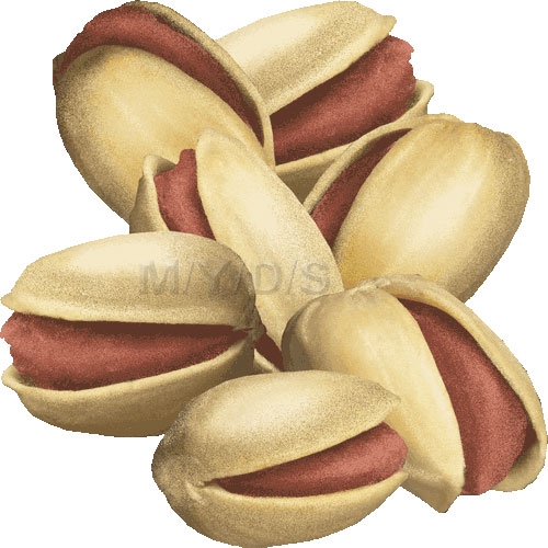 Nut clipart #3, Download drawings