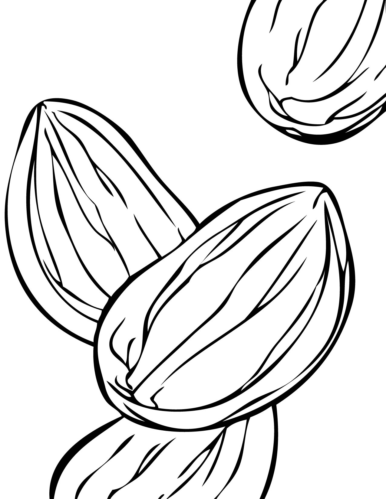 Almond coloring #11, Download drawings