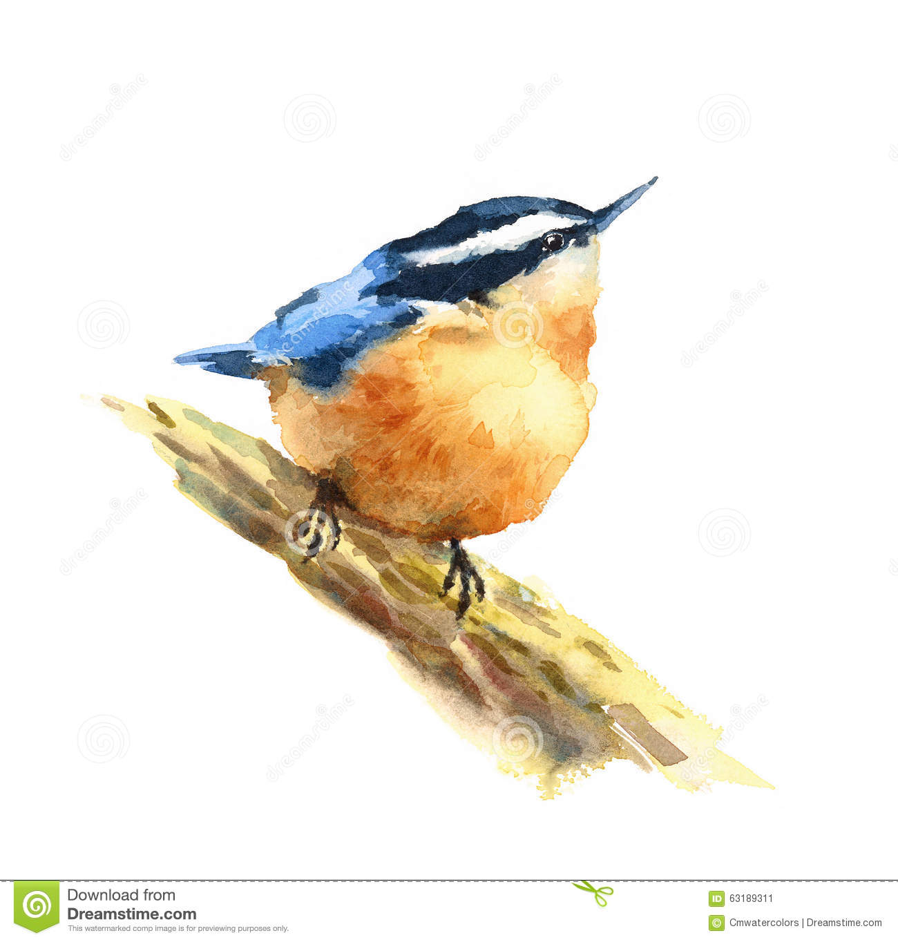 Nuthatch clipart #10, Download drawings