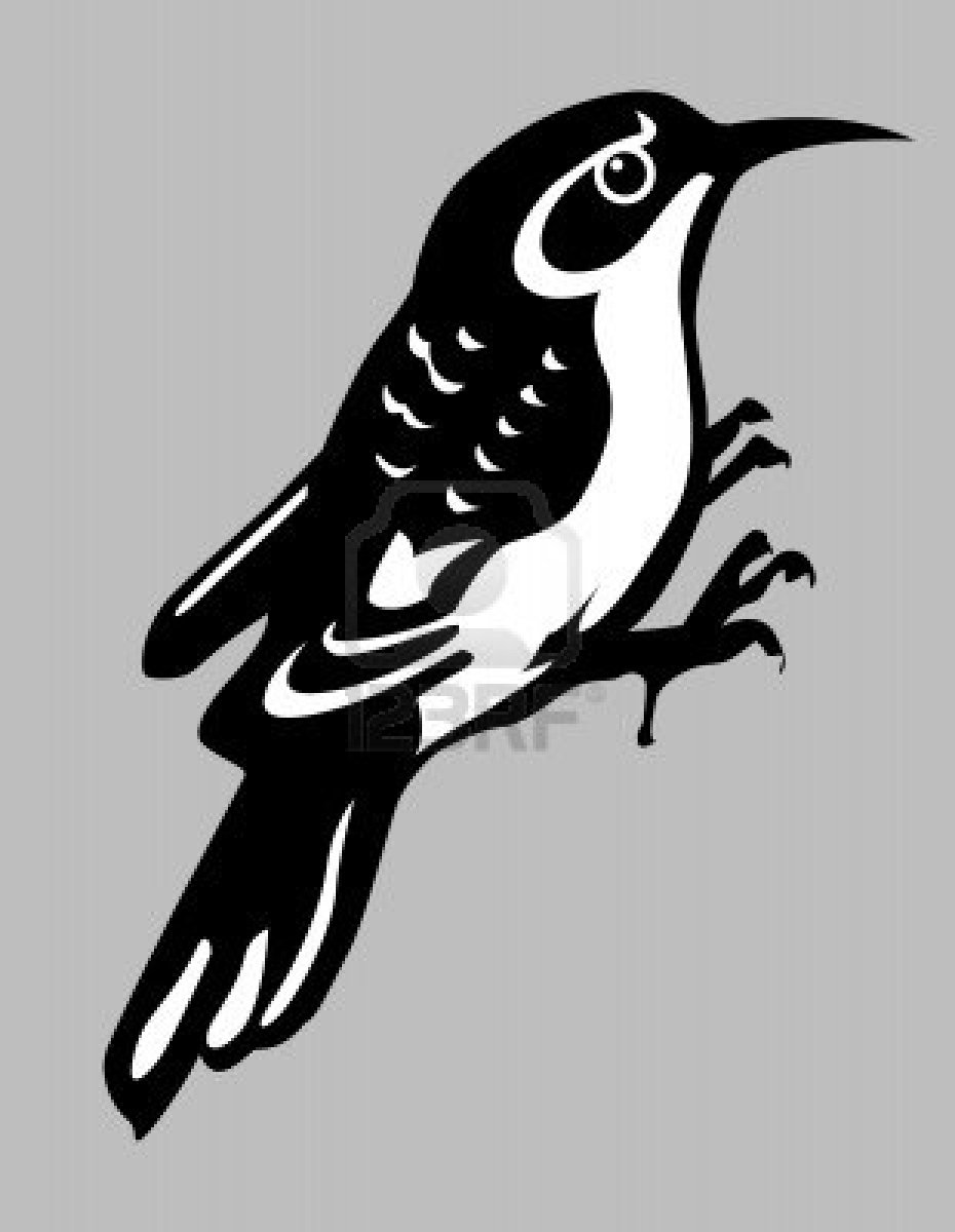 Nuthatch svg #13, Download drawings