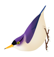 Nuthatch svg #17, Download drawings